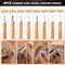 Wood Carving Tools Kit for Beginners 23pcs Hand Carving Knife Set Craft Engraving Supplies Include All-Purpose Cutting Knife and with Cut Resistant Gloves for Kids Adults Woodcrafts DIY